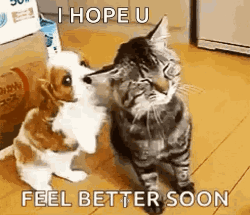 Cute Puppy GIF