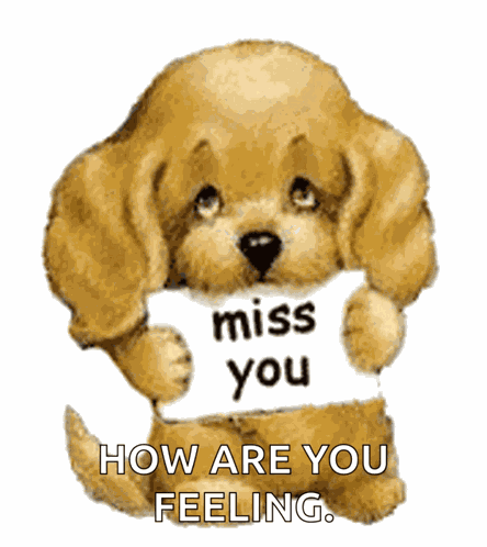 Cute Puppy Puppy GIF