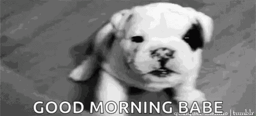 Cute Puppy GIF