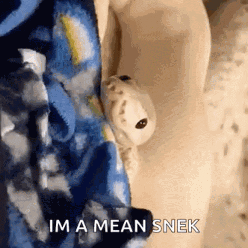 Cute Snek GIF