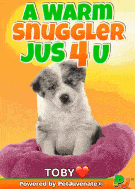 Cuteest Cute Snuggle Cuddle Puppy Funny Gif GIF