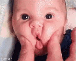 Cutest Ever GIF