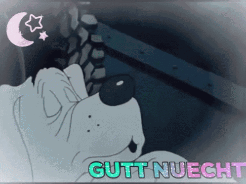 Däddibir Beertje Sebastiaan GIF