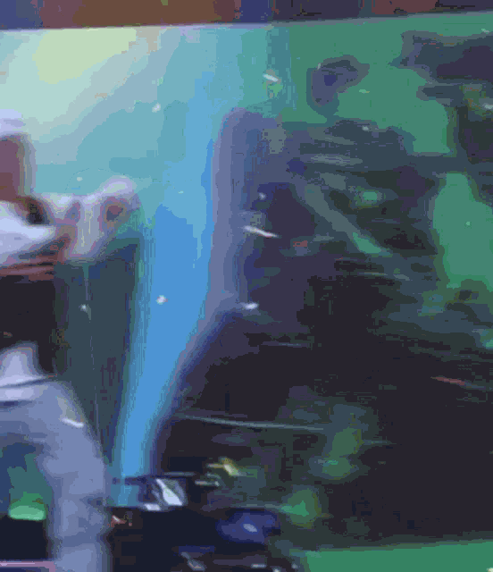 D Ark Kim Woorim GIF