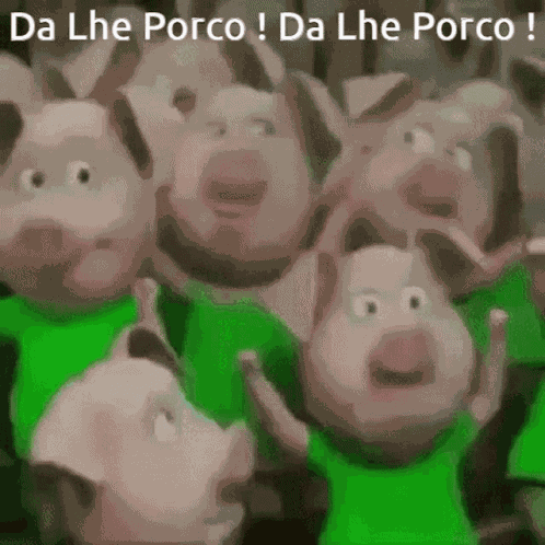 Da Lhe Porco GIF