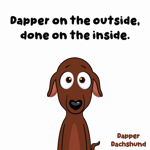 Dachshund Dapper GIF