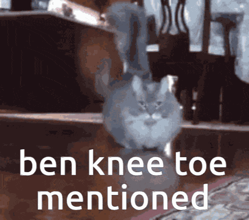 Dagge Ben Knee Toe GIF