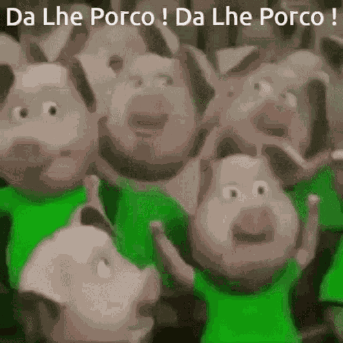 Daleporco Palmeirascampeao GIF