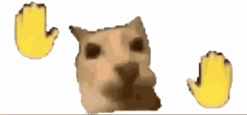 Dance Cat Dance Cat Hands GIF