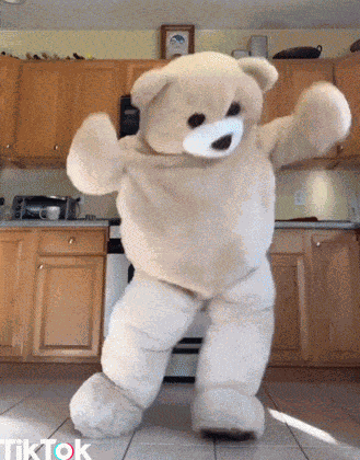 Dance Dancing Bear GIF
