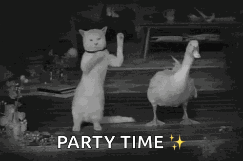 Dance Dancing GIF