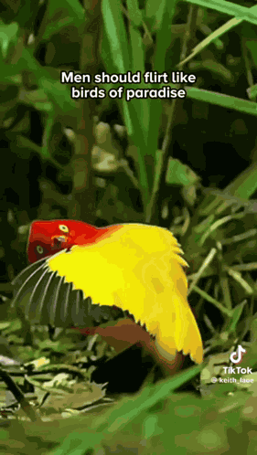 Dance Flirt GIF