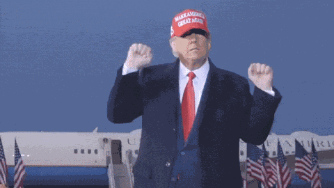 Dance Funny GIF