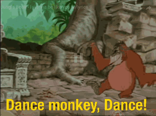 Dance Monkey Dance Monkey Dance GIF