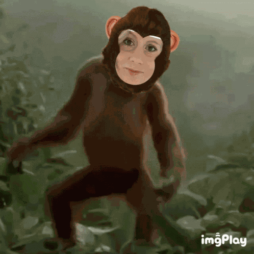 Dance Monkey GIF