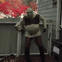 Dance Shrek GIF