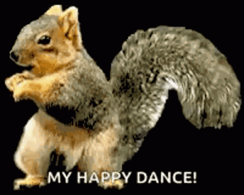 Dance Squirrel GIF