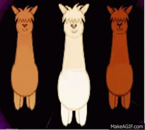 Dancing Alpaga GIF