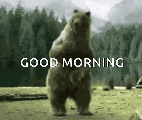 Dancing Bear GIF
