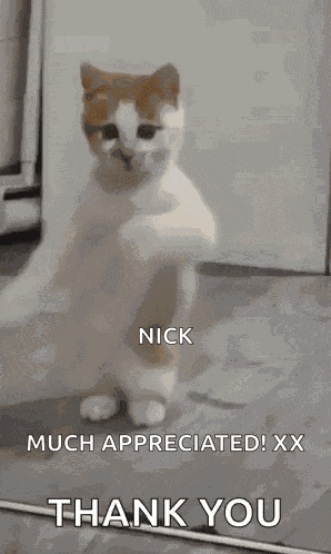 Dancing Cat Dance GIF