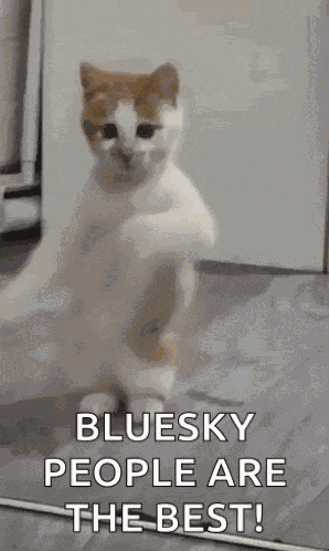 Dancing Cat Dance GIF