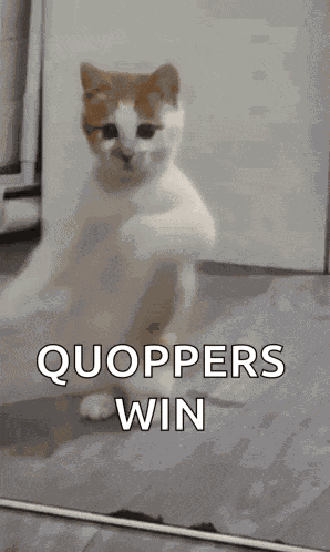 Dancing Cat Dance GIF