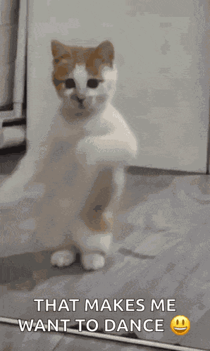 Dancing Cat Dance GIF