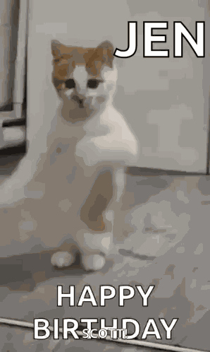 Dancing Cat Dance GIF