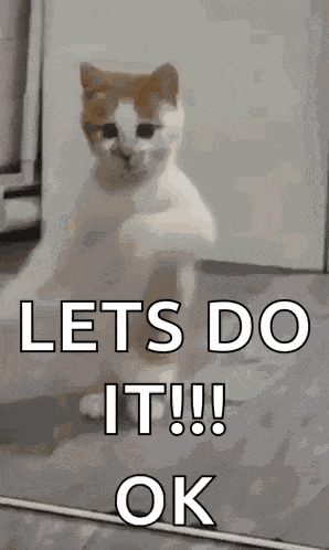 Dancing Cat Dance GIF