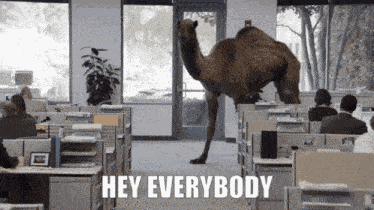 Dancing Dance GIF
