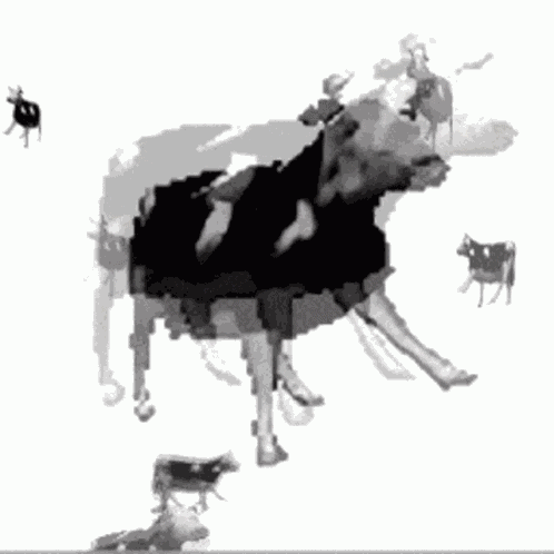 Dancing Destroys Pongons World Dave And Bambi Texty Golf Ball Idk Tbh GIF