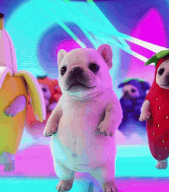 Dancing Dog Dancing Dogs GIF
