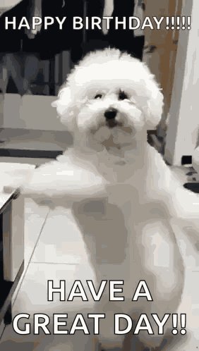 Dancing Dog GIF