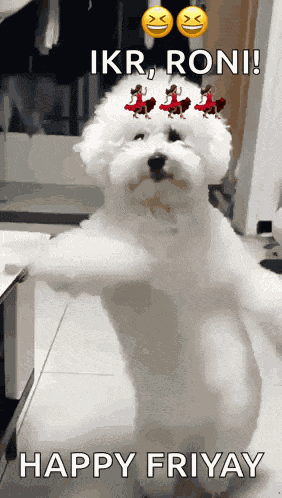 Dancing Dog GIF