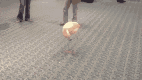 Dancing Flamingo GIF