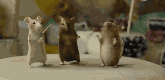Dancing Mice Dancing Mouse GIF