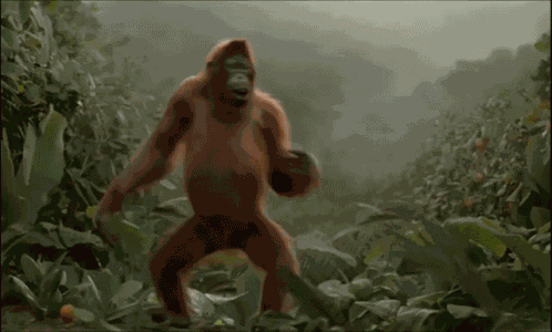 Dancing Monkey GIF