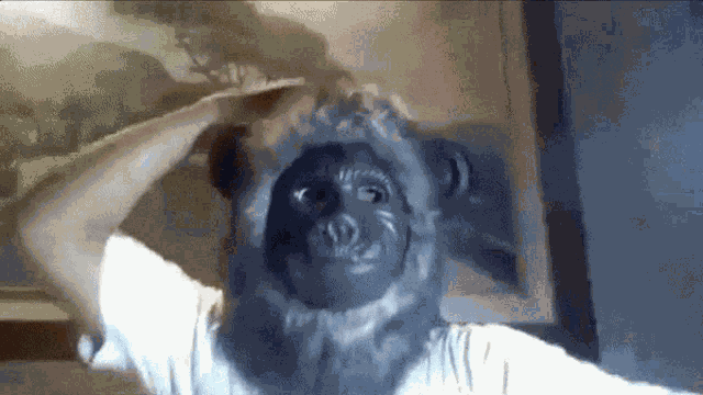 Dancing Monkey With Gun Dancing Monkey Man GIF