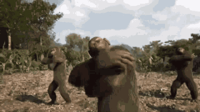 Dancing Monkeys Dyno Monkey GIF