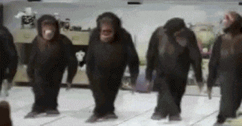 Dancing Monkeys GIF