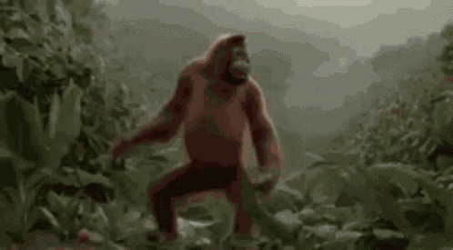 Dancing Orangutan Monkey GIF