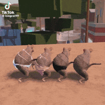 Dancing Rats Roblox Dance GIF