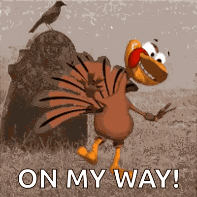 Dancing Turkey Turkey Dance GIF