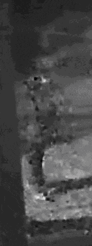 Dancing Woman Dance Funny GIF