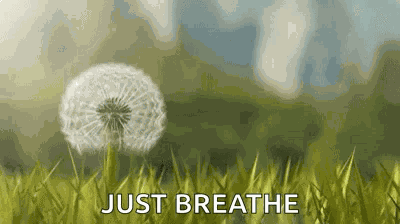 Dandelion GIF