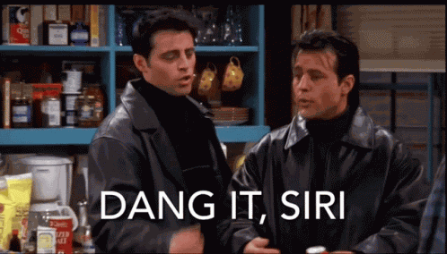 Dang It GIF