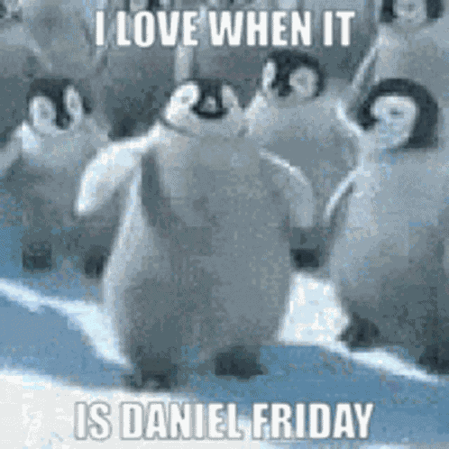 Daniel Friday GIF