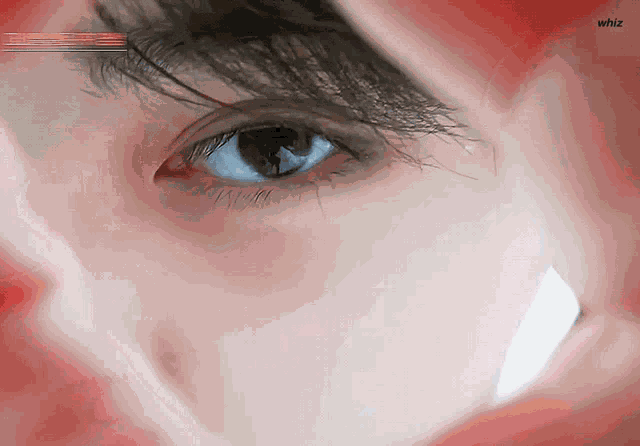 Daniel Iland Kim Daniel GIF