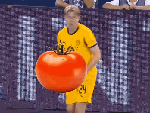 Daniel Svensson Tomato GIF