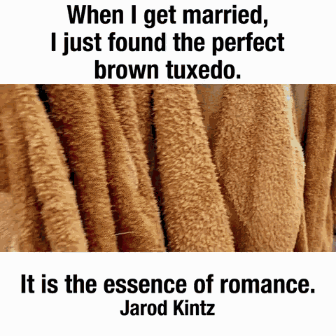 Dank Meme Romance GIF